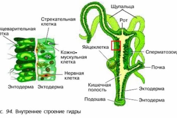 Кракен зарегистрироваться